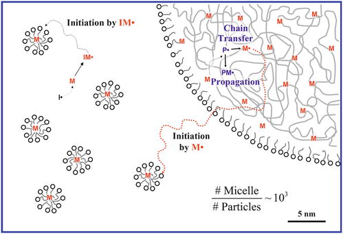 Particularity of Microemulsion Polymerization Mechanism