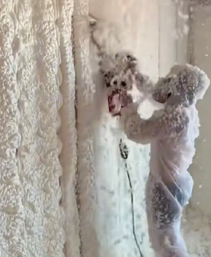 What is blowing agent